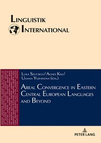 bokomslag Areal Convergence in Eastern Central European Languages and Beyond