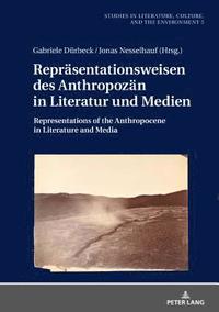 bokomslag Repraesentationsweisen des Anthropozaen in Literatur und Medien