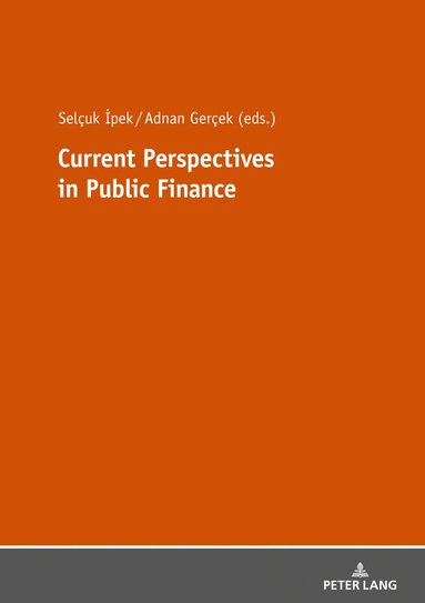 bokomslag Current Perspectives in Public Finance