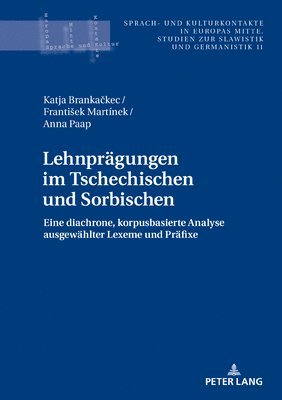 bokomslag Lehnpraegungen im Tschechischen und Sorbischen