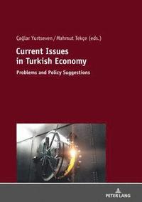 bokomslag Current Issues in Turkish Economics