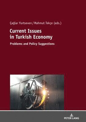 bokomslag Current Issues in Turkish Economics
