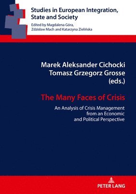 bokomslag The Many Faces of Crisis