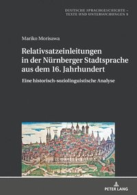 bokomslag Relativsatzeinleitungen in Der Nuernberger Stadtsprache Aus Dem 16. Jahrhundert