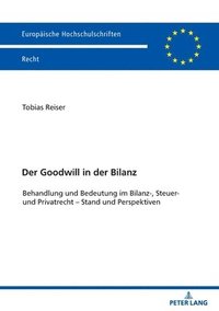 bokomslag Goodwill in der Bilanz
