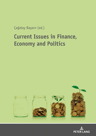 Çağatay Başarir - Current Issues in Finance, Economy and Politics, Häftad