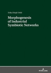 bokomslag Morphogenesis of Industrial Symbiotic Networks