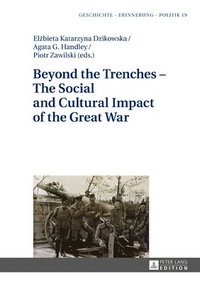 bokomslag Beyond the Trenches  The Social and Cultural Impact of the Great War