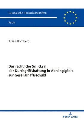 bokomslag Rechtliche Schicksal Der Durchgriffshaftung in Abhaengigkeit Zur Gesellschaftsschuld