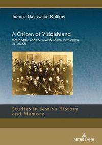 bokomslag A Citizen of Yiddishland