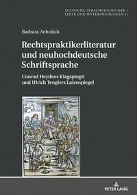 bokomslag Rechtspraktikerliteratur und neuhochdeutsche Schriftsprache
