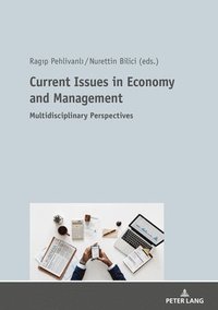 bokomslag Current Issues in Economy and Management