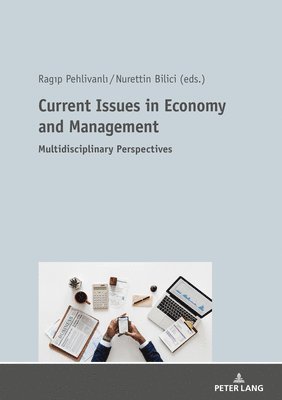 Ragıp Pehlivanlı, Nurettin Bilici, Ragip Pehlivanli, Rag¿p Pehlivanl¿ - Current Issues in Economy and Management, Häftad