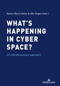 bokomslag Whats happening in cyber space?