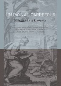 bokomslag Un Pays Au Carrefour