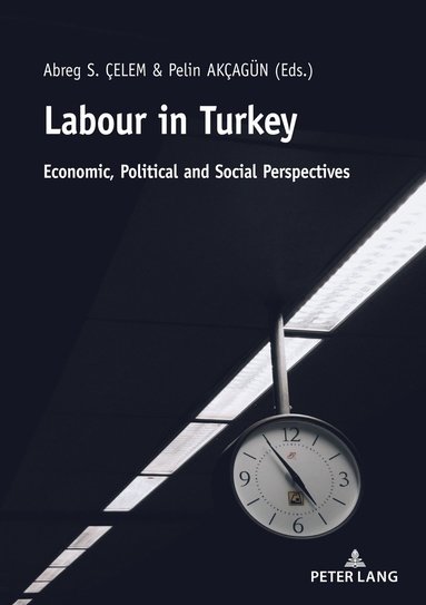 bokomslag Labour in Turkey