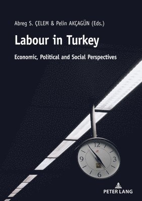 Labour in Turkey 1