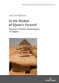 bokomslag In the Shadow of Djosers Pyramid