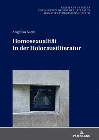 bokomslag Homosexualitaet in der Holocaustliteratur