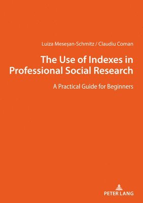 bokomslag The Use of Indexes in Professional Social Researches