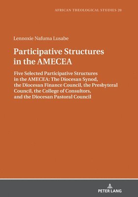 bokomslag Participative Structures in the AMECEA