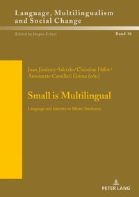 bokomslag Small is Multilingual