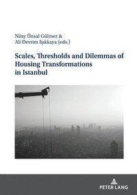 bokomslag Scales, Thresholds And Dilemmas Of Housing Transformations In Istanbul
