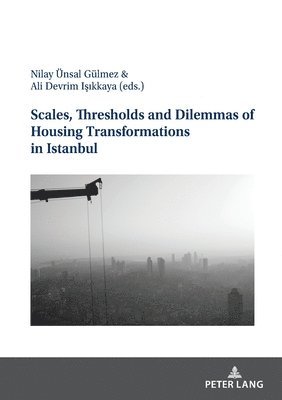 Scales, Thresholds And Dilemmas Of Housing Transformations In Istanbul 1