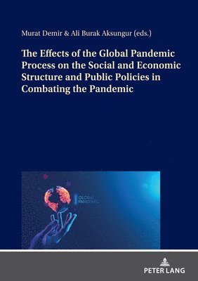 The Effects of the Global Pandemic Process on the Social and Economic Structure and Public Policies in Combating the Pandemic 1