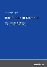 bokomslag Revolution in Stambul