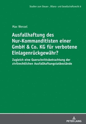 Max Wenzel, André Meyer, Andre Meyer - Ausfallhaftung des Nur-Kommanditisten einer GmbH & Co. KG fuer verbotene Einlagenrueckgewaehr?, Inbunden