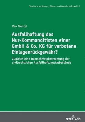 Ausfallhaftung des Nur-Kommanditisten einer GmbH & Co. KG fuer verbotene Einlagenrueckgewaehr? 1