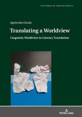 bokomslag Translating a Worldview