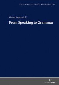 bokomslag From Speaking to Grammar