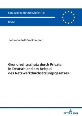 Grundrechtsschutz durch Private in Deutschland am Beispiel des Netzwerkdurchsetzungsgesetzes 1