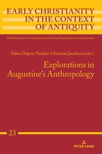 bokomslag Explorations in Augustine's Anthropology