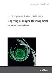 bokomslag Mapping Manager Development