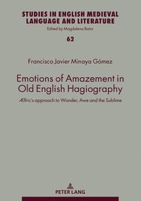 bokomslag Emotions of Amazement in Old English Hagiography