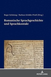 bokomslag Romanische Sprachgeschichte und Sprachkontakt