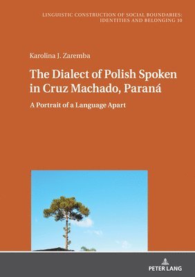 bokomslag The Dialect of Polish Spoken in Cruz Machado, Paran