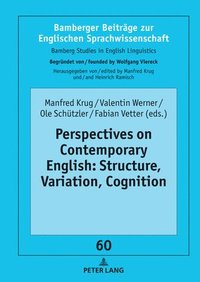 bokomslag Perspectives on Contemporary English: Structure, Variation, Cognition