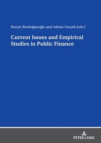 bokomslag Current Issues and Empirical Studies in Public Finance