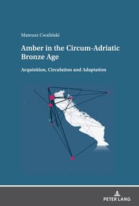 bokomslag Amber in the Circum-Adriatic Bronze Age