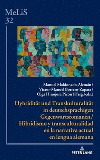bokomslag Hybriditaet und Transkulturalitaet in deutschsprachigen Gegenwartsromanen / Hibridismo y transculturalidad en la narrativa actual en lengua alemana