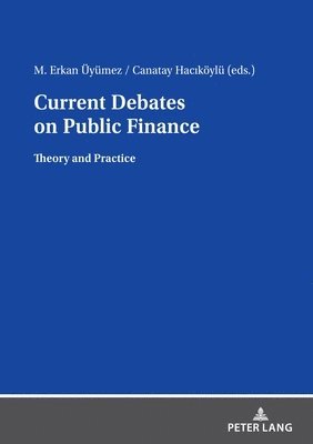 bokomslag Current Debates on Public Finance