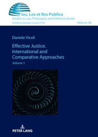 bokomslag Effective Justice. International and Comparative Approaches