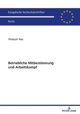 bokomslag Betriebliche Mitbestimmung Und Arbeitskampf