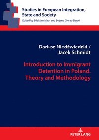 bokomslag Introduction to Immigrant Detention in Poland. Theory and Methodology