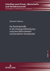 bokomslag Die Rechtsbehelfe in Der Zwangsvollstreckung - Zwischen Reformbedarf Und Bewaehrter Komplexitaet