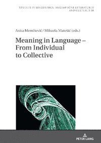 bokomslag Meaning in Language - From Individual to Collective
